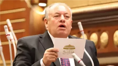 أمين تشريعية الشيوخ يشيد بمشاركة المصريين بالخارج في انتخابات النواب