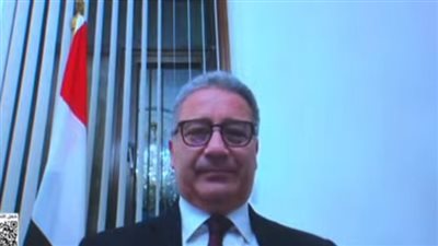 سفير مصر في الصين: العملية الانتخابية منتظمة وعمليات الفرز جارية