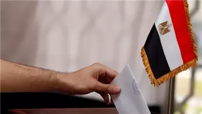 سفير مصر في الدنمارك: تحسن الإقبال على التصويت بالمرحلة الأولى للنواب