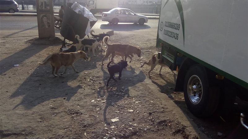 شكاوى الأهالي تتزايد