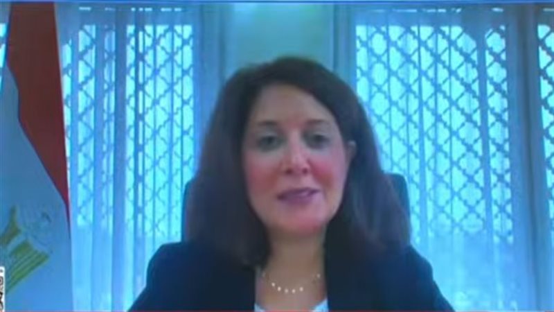 السفيرة أميرة عبد