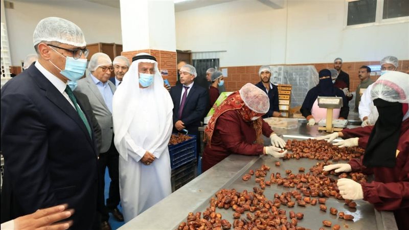 محافظ الجيزة يتفقد