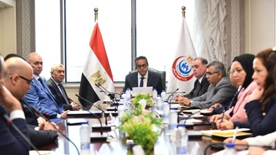 وزير الصحة يبحث مع ممثلي شركة «ميريت» توطين صناعة المستلزمات الطبية