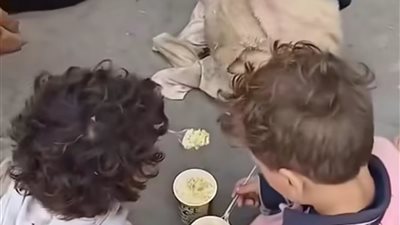 أول تحرك من القومى للأمومة تجاه أطفال الزقازيق بعد أن تركتهم في الشارع 