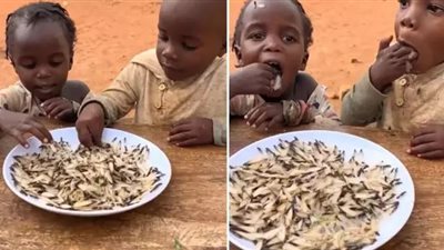 ليس ذكاءً اصطناعيًا.. أطفال أوغندا يأكلون حشرة النمل الأبيض بسبب الجوع