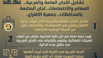 وزارة الشؤون النيابية والقانونية تصدر إنفوجرافًا توعويًا جديدًا|صور