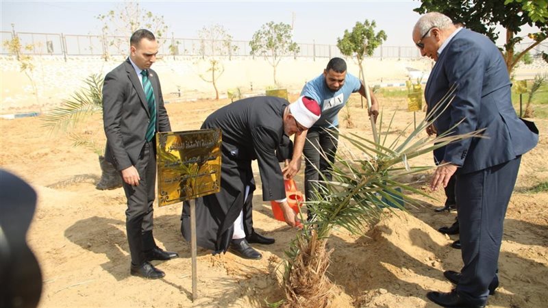 مفتي الجمهورية 