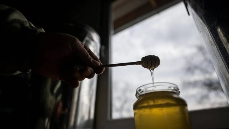 الكركم والعسل