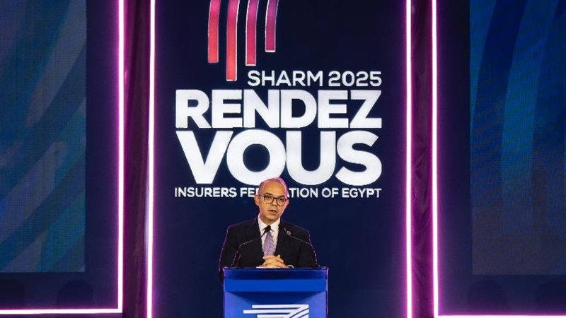 رئيس الهيئة العامة