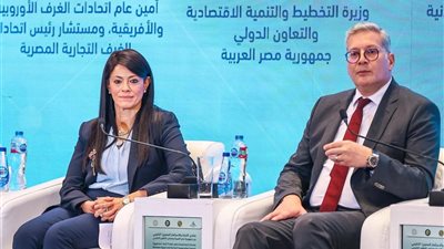 التخطيط: أكثر من 16 مليار دولار تمويلات ميسرة للقطاع الخاص من شركاء التنمية 