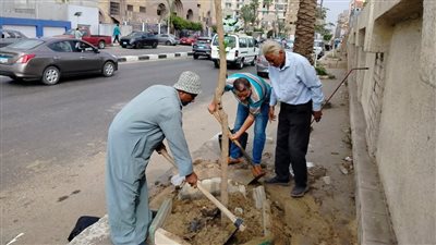 محافظ الشرقية يتابع انطلاق أعمال زراعة الأشجار ضمن مبادرة «100 مليون شجرة»