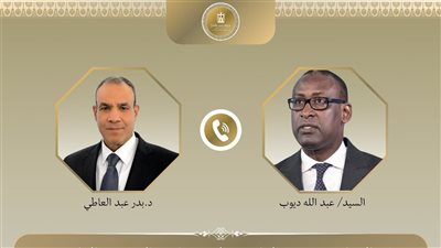 وزير الخارجية يبحث مع نظيره المالي تعزيز التعاون وتأمين المصريين في مالي