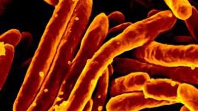 مقاومة مضادات الميكروبات قاتل صامت يؤدي إلى وفاة 5 ملايين شخص سنويًا