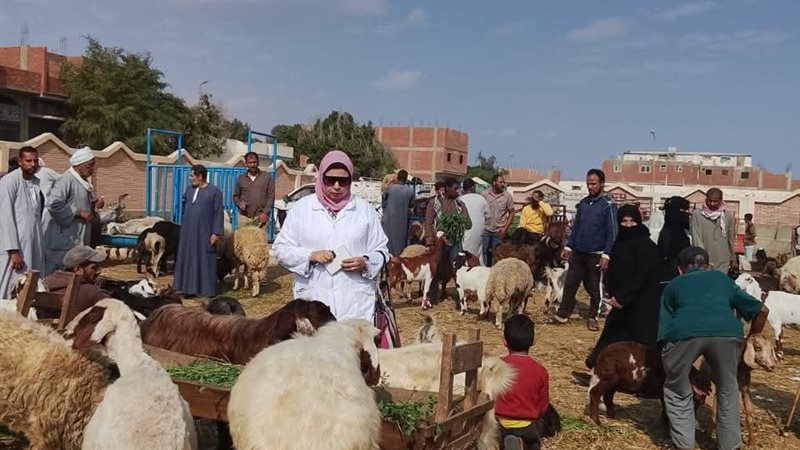 جانب من الحملة