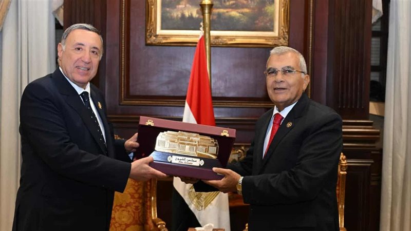 المستشار عصام فريد