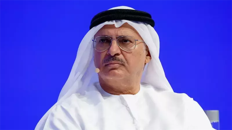 أنور قرقاش، المستشار