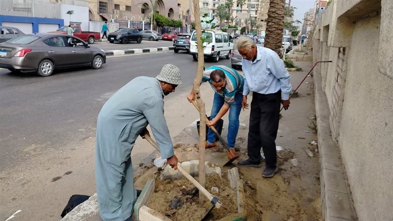 متابعة الاشجار