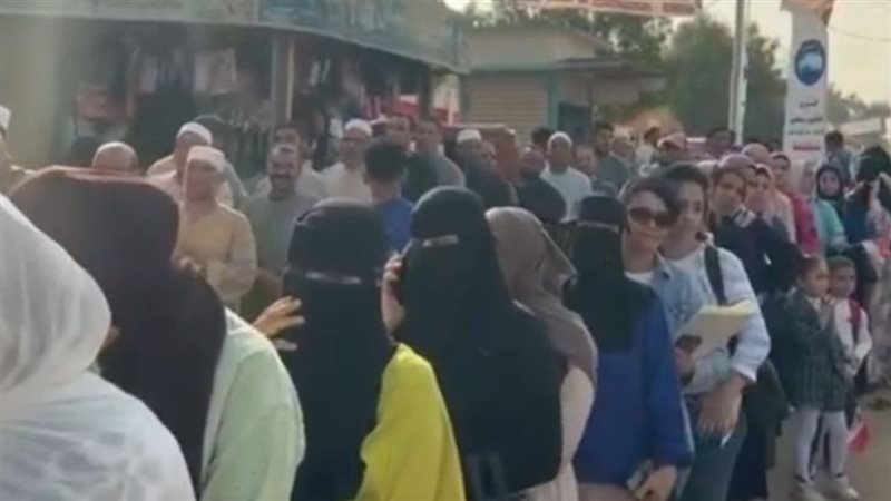 الانتخابات