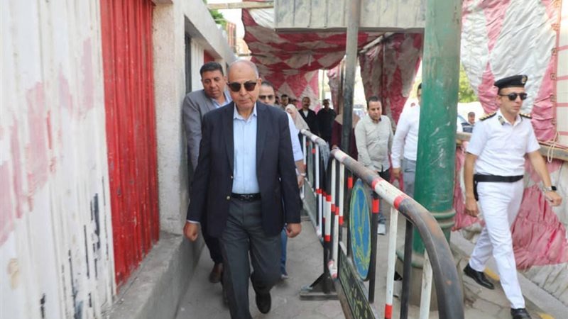 محافظ المنيا