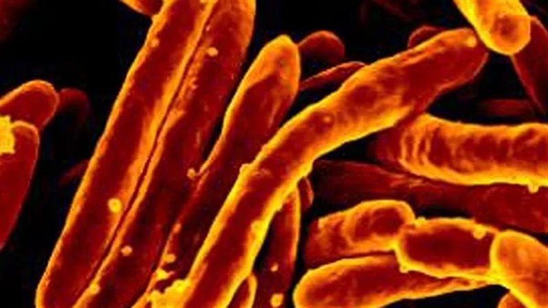 صورة موضوعية