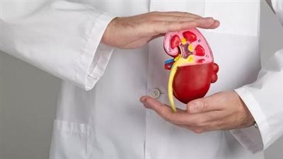 دراسة تظهر ارتفاعًا قياسيًا في انخفاض وظائف الكلى بجميع أنحاء العالم