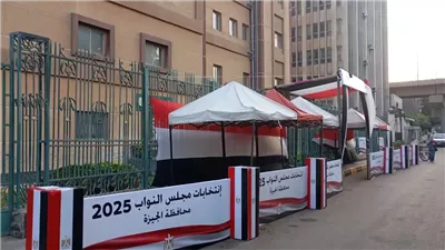 قبل ما تروح لجنتك.. اعرف سن التصويت وشروط الإدلاء بالصوت في انتخابات النواب