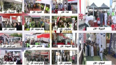 توافد الناخبين على لجان الجمهورية للإدلاء بأصواتهم في انتخابات مجلس النواب