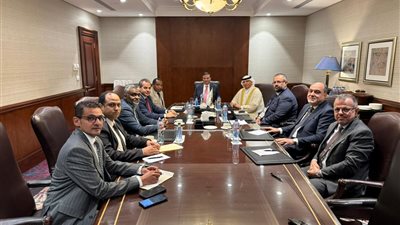 وزير الزراعة يبحث تعزيز الاستثمارات العربية في المجال الزراعي 