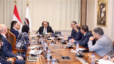 محمد شيمي: مشروع الأمونيا الخضراء خطوة مهمة في توجه الدولة نحو الاقتصاد الأخضر