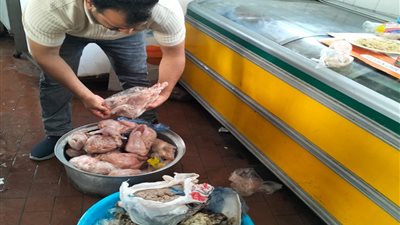 حملة مكبرة تضبط كمية كبيرة من الأغذية الفاسدة وغير الصالحة للاستهلاك بالغربية