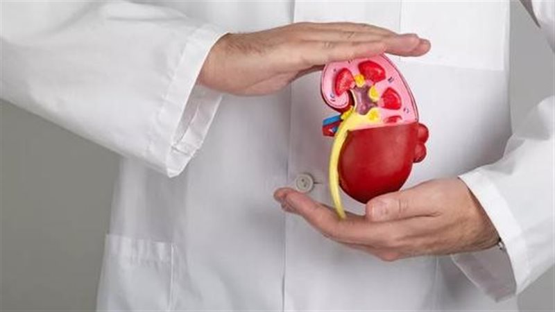 صورة تعبيرية 