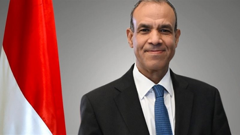 وزير الخارجية الدكتور