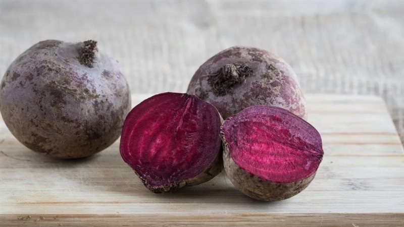 الشمندر النيئ