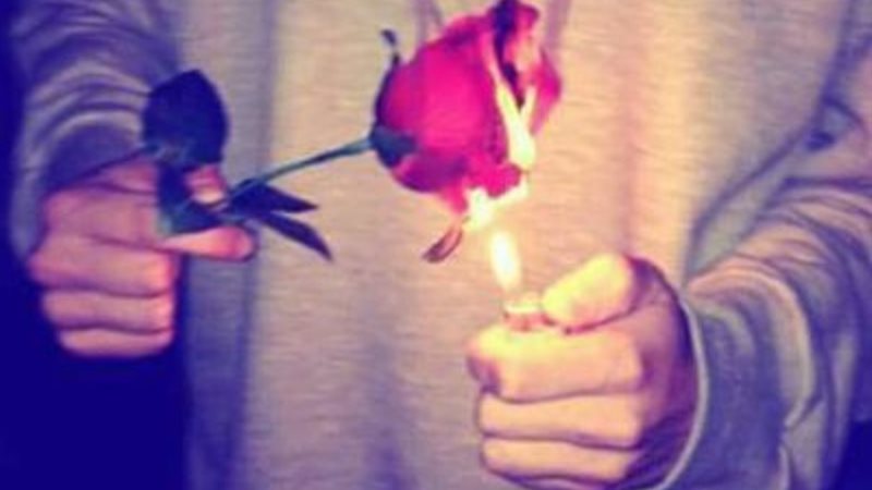 يوم السناجل