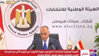 أحمد البنداري: دعم للجان الانتخابية بأوراق اقتراع إضافية بسبب الإقبال الكثيف