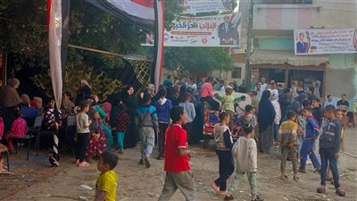 مشاهد وطنية تزين شوارع الجيزة.. طوابير الناخبين تمتد أمام المدارس