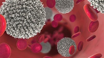 علماء روس يطورون طريقة جديدة لتعزيز فعالية أدوية علاج سرطان الدم