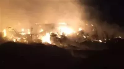 اندلاع حريق هائل بمخلفات زراعية داخل حديقة المتحف الزراعى بالدقى