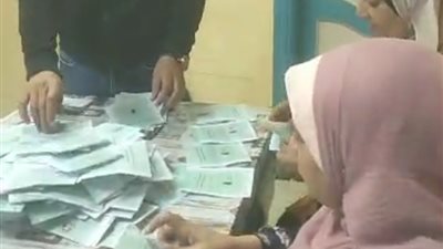 غلق صناديق الاقتراع واللجان وبدء عملية فرز الأصوات بالبحيرة