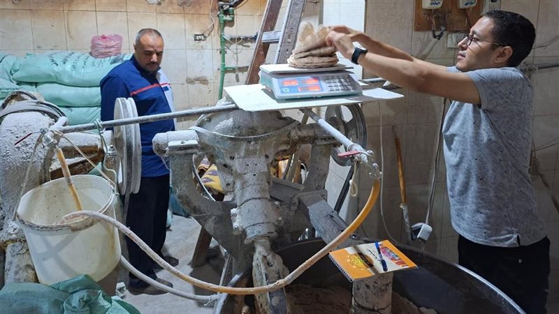 جانب من الحملة 