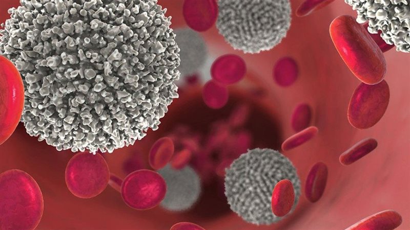 صورة موضوعية