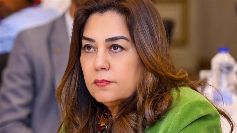  وزيرة التنمية المحلية