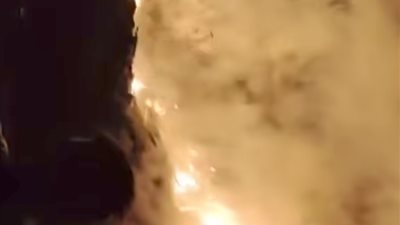 حريق هائل يلتهم حديقة برتقال بقرية ميت الليت هاشم بالمحلة في فجر ليلة القدر