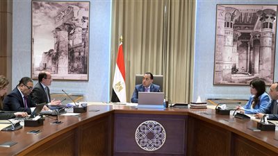 رئيس الوزراء يتابع مع وزير المالية عددا من ملفات العمل