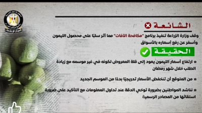 وزارة الزراعة : انخفاض أسعار الليمون تدريجيًا بدءًا من الموسم الجديد