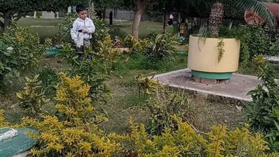 خروجة العيد بـ 10 جنيه.. تعرف على أهم أماكن الخروج والفسح بالدقهلية