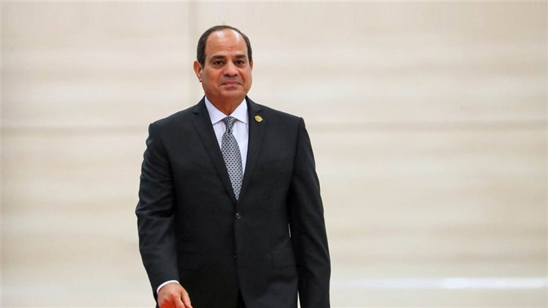 رئيس الجمهورية عبدالفتاح