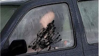 سيدة تتهم رجل وفتاة بممارسة أفعال مخلة داخل سيارة بدمياط.. والداخلية تكشف التفاصيل