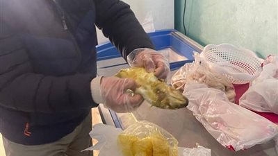قبل بيعها للمواطنين في العيد.. ضبط 100 كيلو فسيخ مجهول المصدر بالقليوبية 