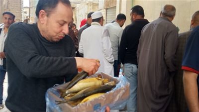 عادة قديمة توارثتها الأجيال.. إقبال غير مسبوق على أسواق الرنجة والفسيخ بالفيوم 